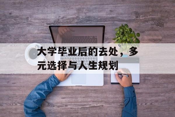 大学毕业后的去处，多元选择与人生规划