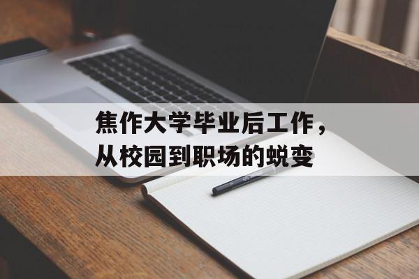 焦作大学毕业后工作，从校园到职场的蜕变