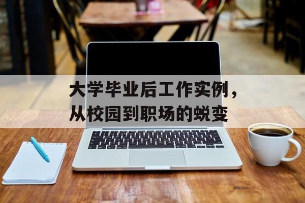 大学毕业后工作实例，从校园到职场的蜕变