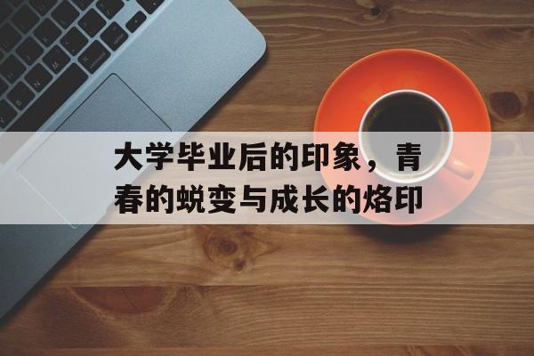 大学毕业后的印象，青春的蜕变与成长的烙印