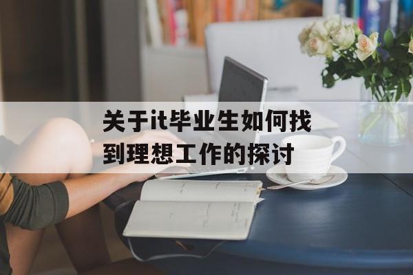 关于it毕业生如何找到理想工作的探讨