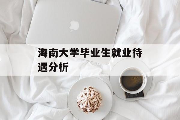 海南大学毕业生就业待遇分析