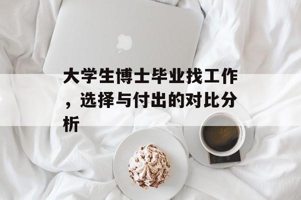 大学生博士毕业找工作，选择与付出的对比分析