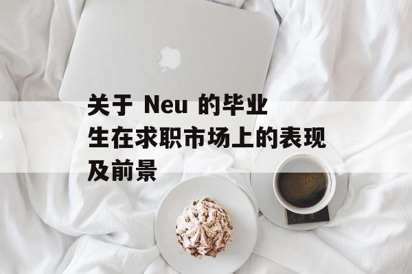 关于 Neu 的毕业生在求职市场上的表现及前景