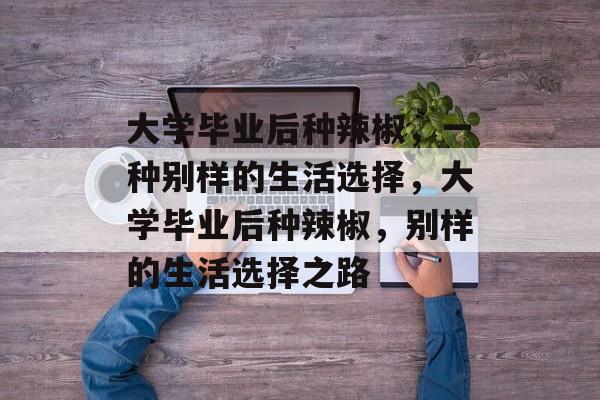 大学毕业后种辣椒，一种别样的生活选择，大学毕业后种辣椒，别样的生活选择之路