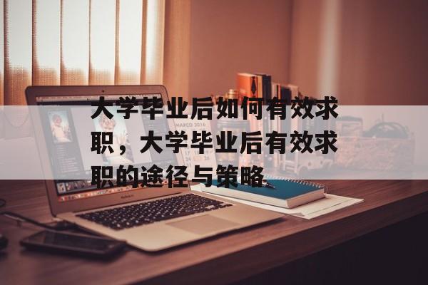 大学毕业后如何有效求职，大学毕业后有效求职的途径与策略