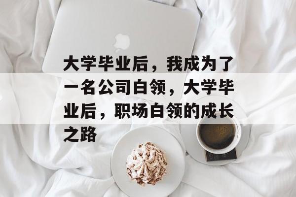 大学毕业后，我成为了一名公司白领，大学毕业后，职场白领的成长之路