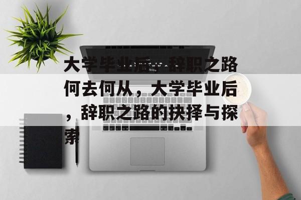 大学毕业后，辞职之路何去何从，大学毕业后，辞职之路的抉择与探索