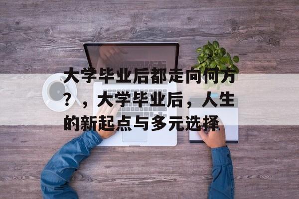 大学毕业后都走向何方？，大学毕业后，人生的新起点与多元选择