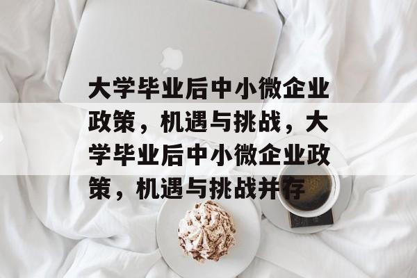 大学毕业后中小微企业政策，机遇与挑战，大学毕业后中小微企业政策，机遇与挑战并存