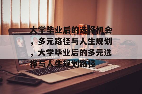 大学毕业后的选择机会，多元路径与人生规划，大学毕业后的多元选择与人生规划路径