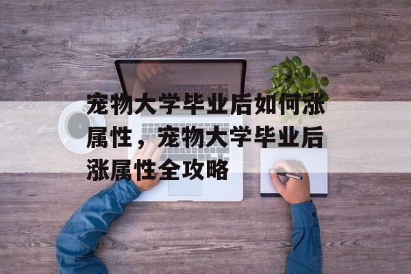 宠物大学毕业后如何涨属性，宠物大学毕业后涨属性全攻略