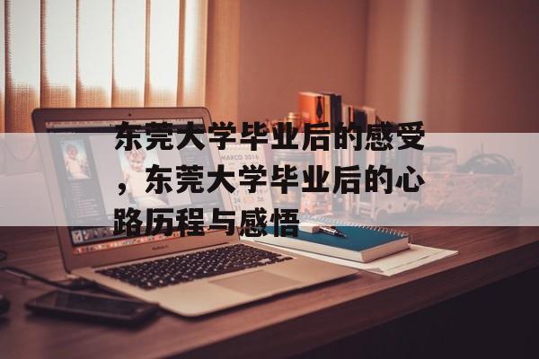 东莞大学毕业后的感受，东莞大学毕业后的心路历程与感悟