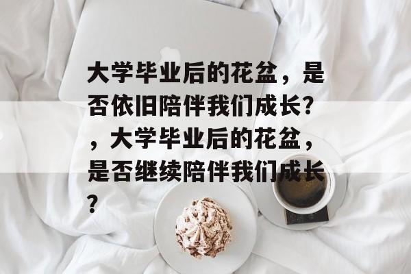 大学毕业后的花盆，是否依旧陪伴我们成长？，大学毕业后的花盆，是否继续陪伴我们成长？