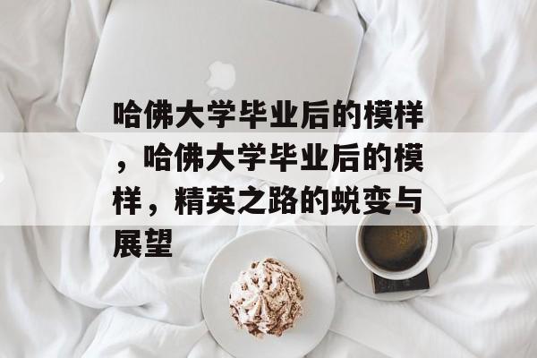 哈佛大学毕业后的模样，哈佛大学毕业后的模样，精英之路的蜕变与展望