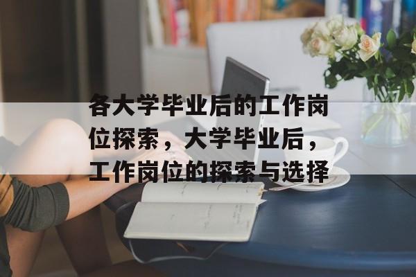 各大学毕业后的工作岗位探索，大学毕业后，工作岗位的探索与选择