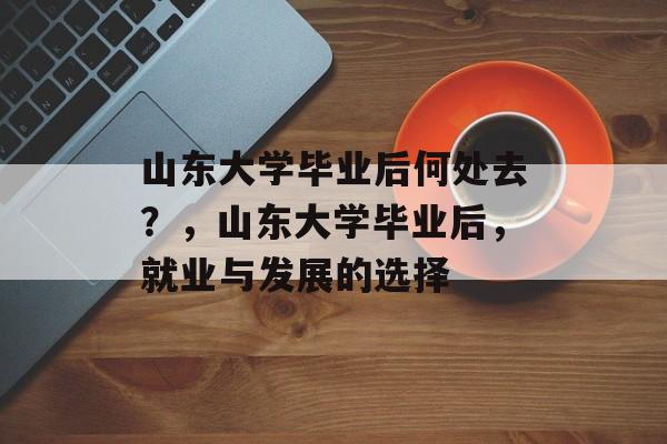 山东大学毕业后何处去？，山东大学毕业后，就业与发展的选择