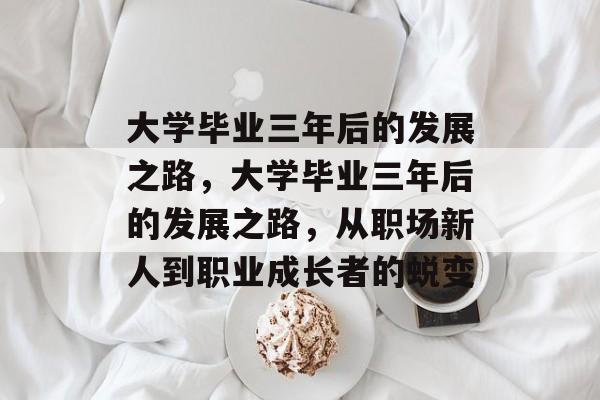 大学毕业三年后的发展之路，大学毕业三年后的发展之路，从职场新人到职业成长者的蜕变