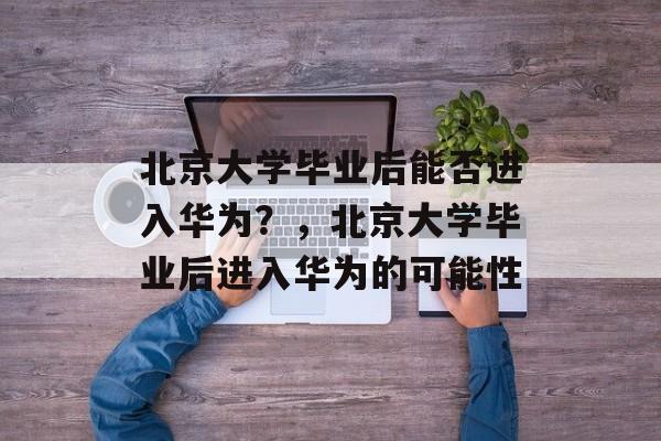 北京大学毕业后能否进入华为？，北京大学毕业后进入华为的可能性