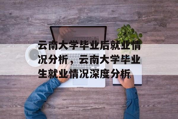 云南大学毕业后就业情况分析，云南大学毕业生就业情况深度分析