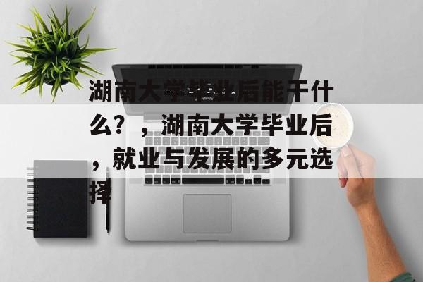 湖南大学毕业后能干什么？，湖南大学毕业后，就业与发展的多元选择