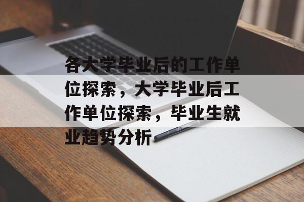 各大学毕业后的工作单位探索，大学毕业后工作单位探索，毕业生就业趋势分析