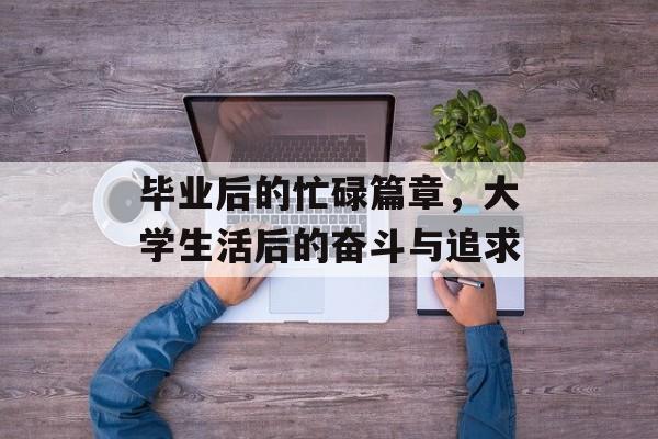 毕业后的忙碌篇章，大学生活后的奋斗与追求