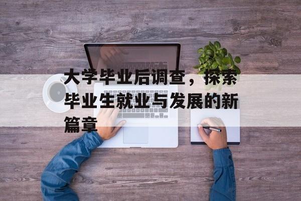 大学毕业后调查，探索毕业生就业与发展的新篇章