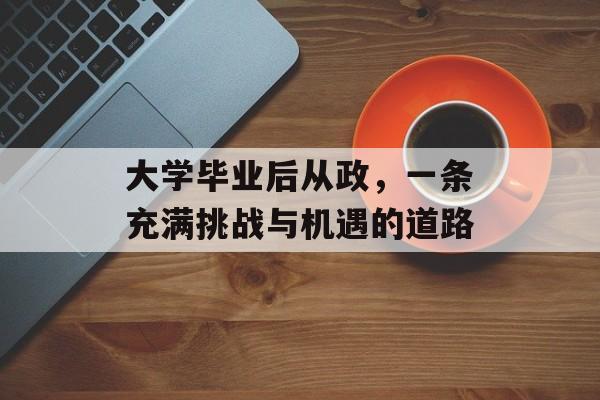 大学毕业后从政，一条充满挑战与机遇的道路