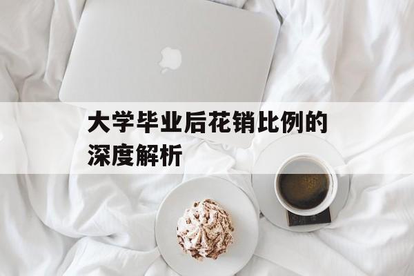 大学毕业后花销比例的深度解析