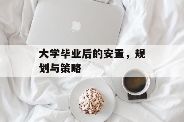 大学毕业后的安置，规划与策略