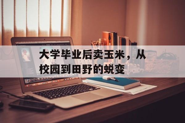 大学毕业后卖玉米，从校园到田野的蜕变