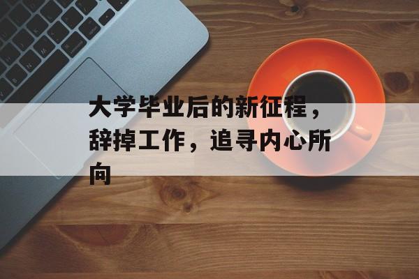 大学毕业后的新征程，辞掉工作，追寻内心所向