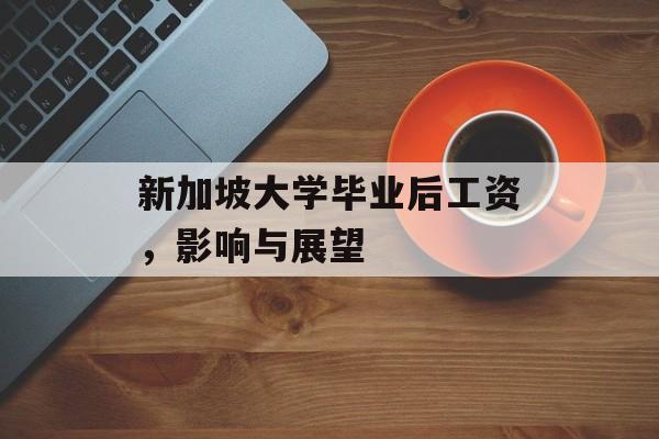 新加坡大学毕业后工资，影响与展望