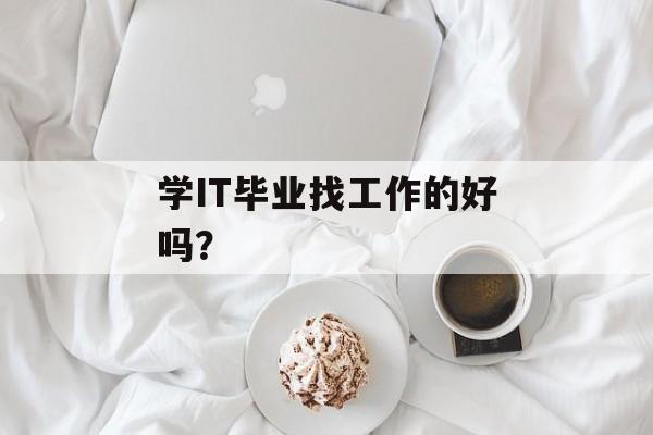 学IT毕业找工作的好吗？