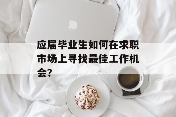 应届毕业生如何在求职市场上寻找最佳工作机会？