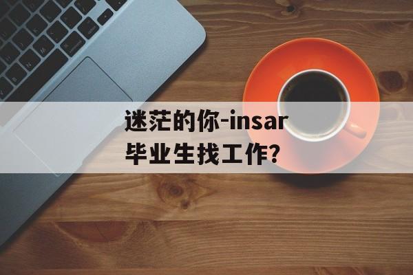 迷茫的你-insar毕业生找工作？